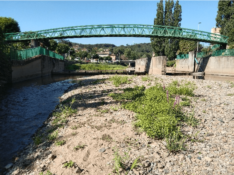 Azergues/ Plan de gestion