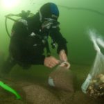 Un plongeur de l'ADENA prélève des sédiments afin de réaliser une granulométrie