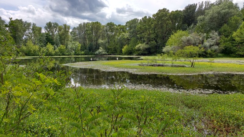 Photo du lac de Meyrol (projet de renaturation de cette zone humide)