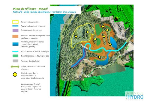 projet "roselière" des îles du rhône