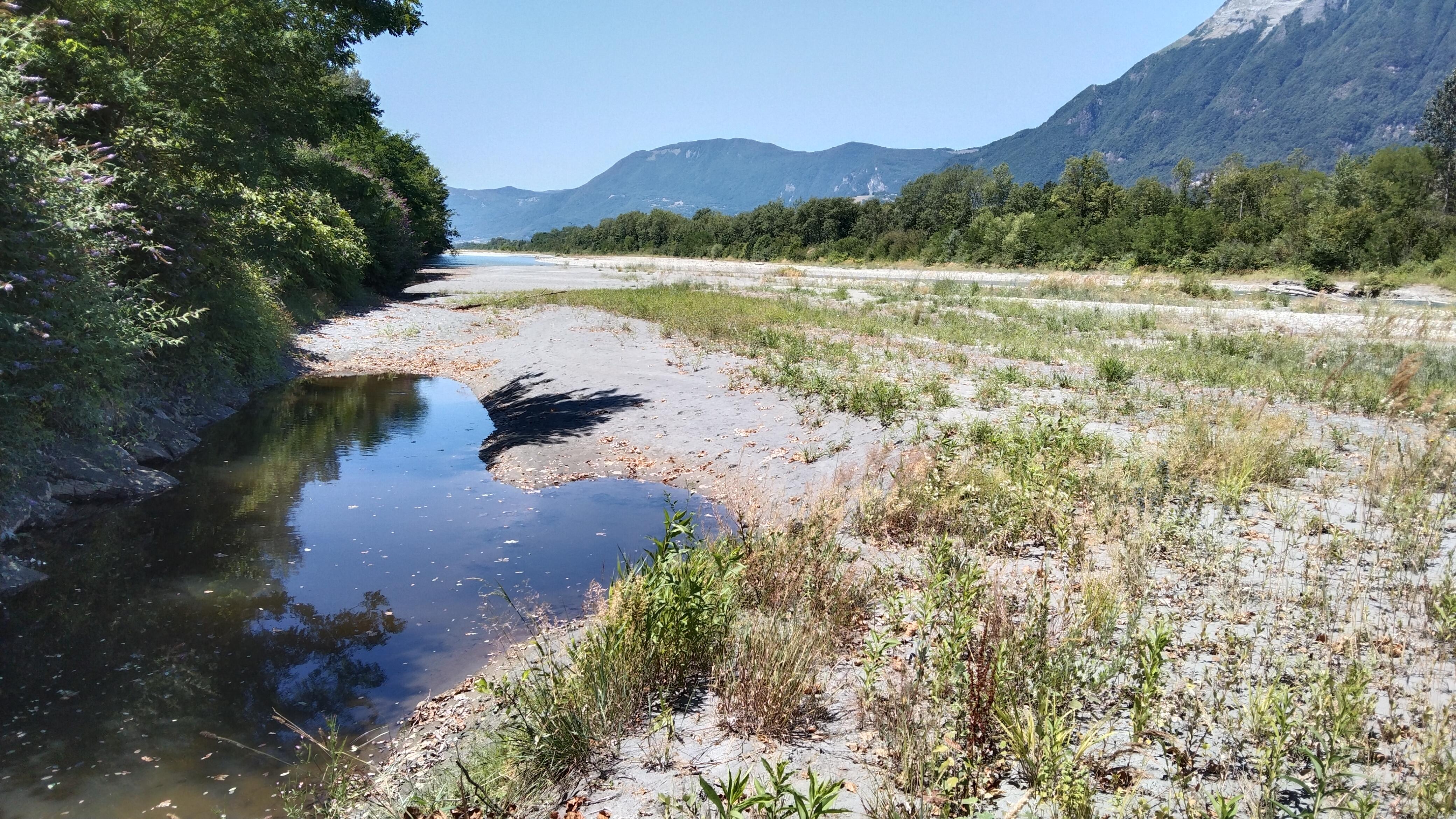 #219 – Intervention annuelle sur les bancs de l’Isère en Combe de Savoie