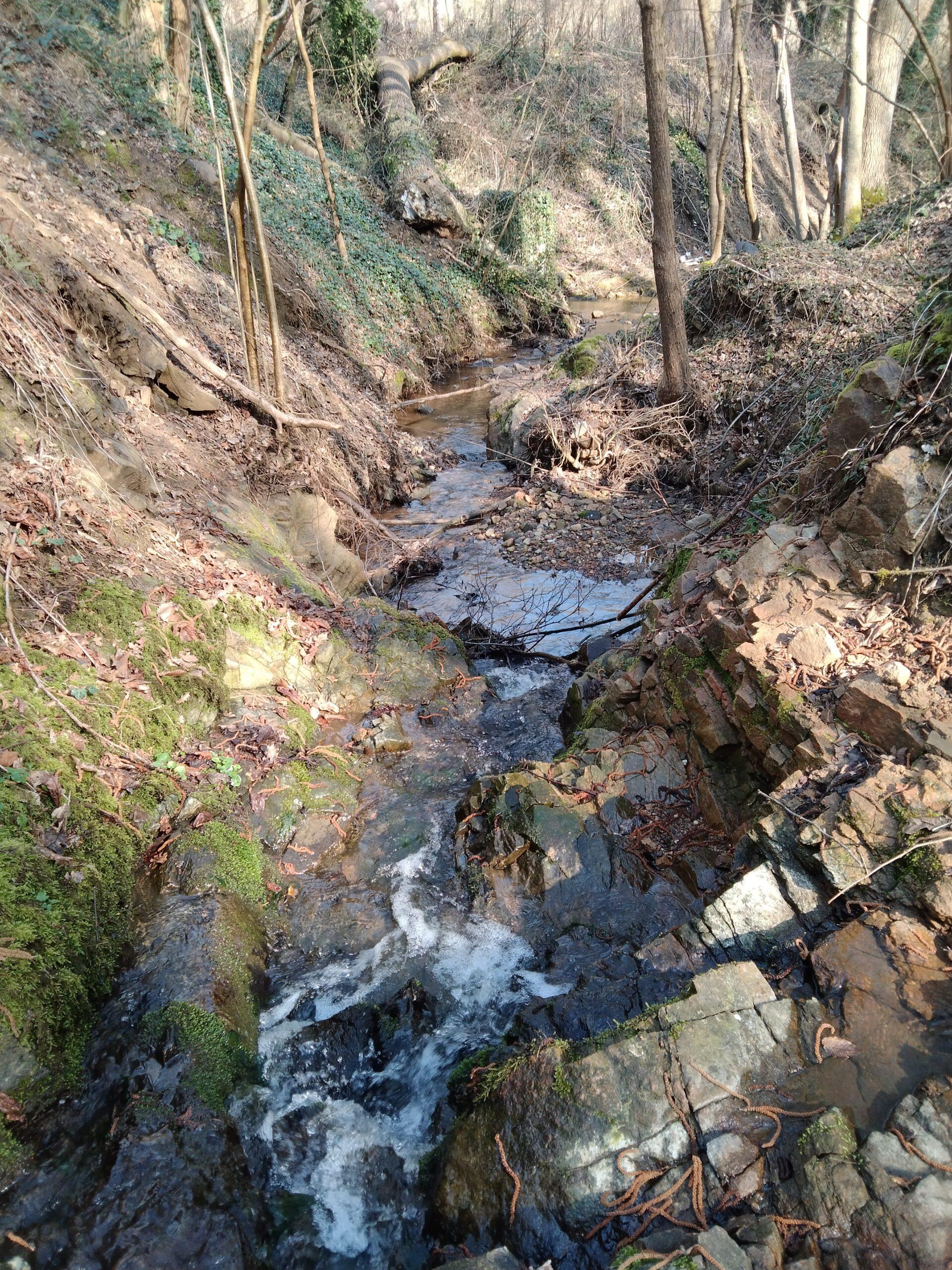 #229 – Le Combard passé au crible : repérages avant restauration du cours d&rsquo;eau