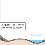 ISERE - Injection : schémas de projet. Vues de face