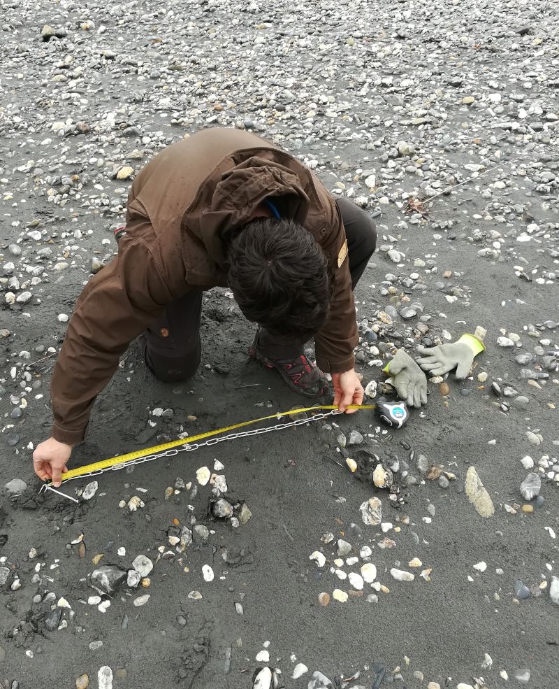 Benoît mesure d'une chaîne d'érosion pour le suivi scientifique et technique des bancs de l'Isère