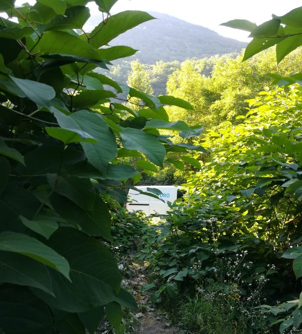 Le camion Dynamique Hydro caché derrière la végétation florissante en ce début d'été.