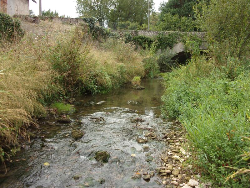 Ecomorphologie : un cours d'eau du bassin versant étudié