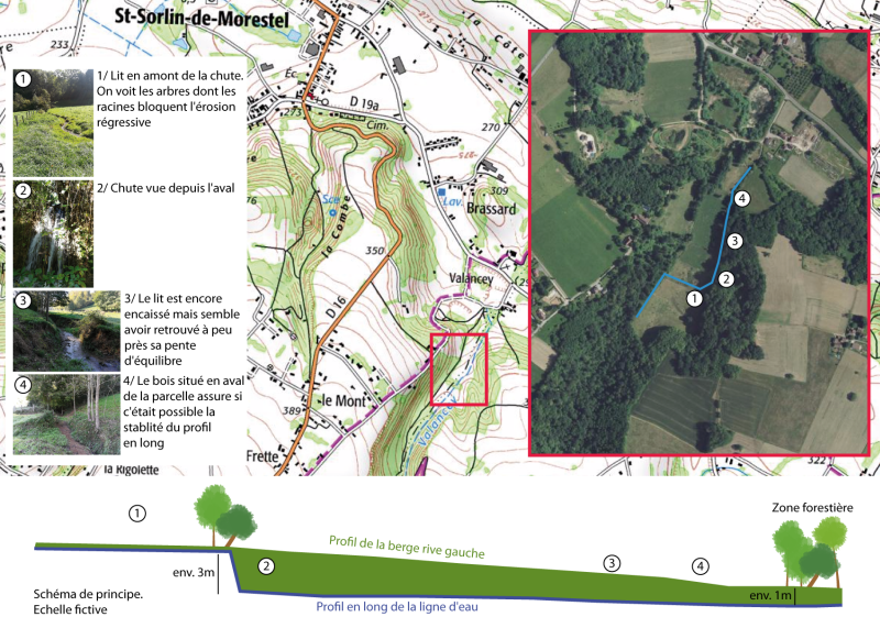 Schéma, explications et illustration d'un secteur de cours d'eau à restaurer