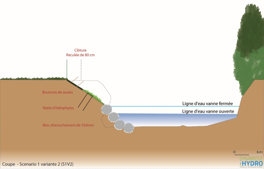 Coupe niveau esquisse du projet de protection de berges