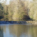 Vue sur le seuil de la rivière Reyssouze au droit du moulin de Corcelles