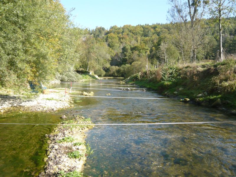 Seine