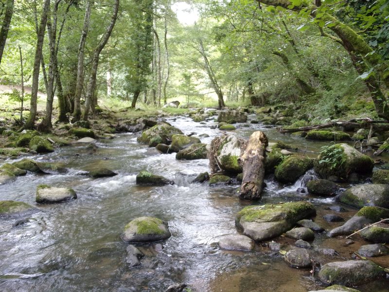 Vue sur la rivière Selves