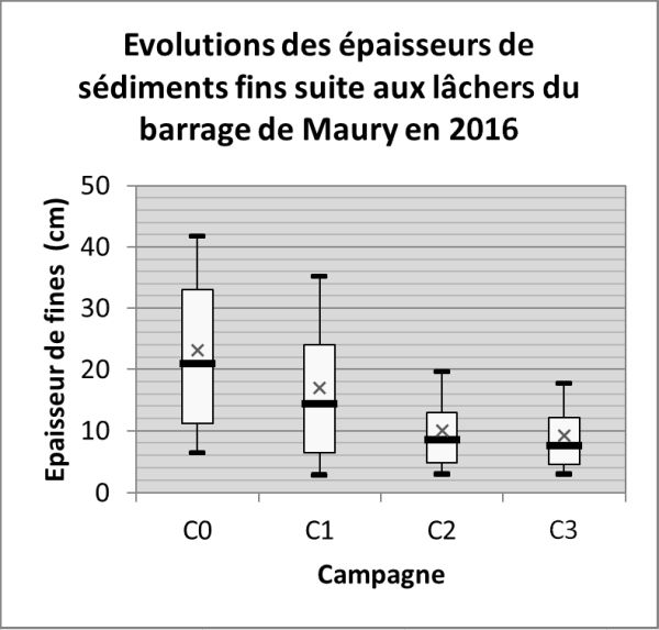 SELVES   Référence (7)