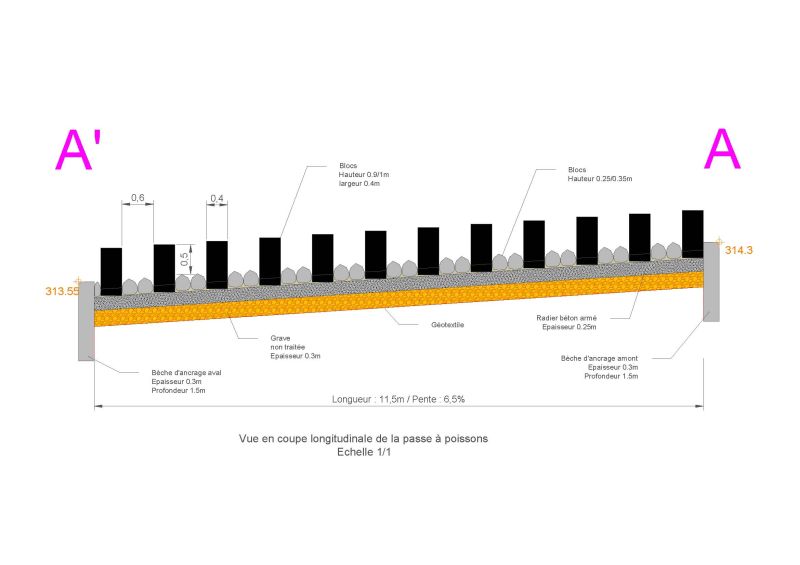 SEMOUSE   Continuité (1)