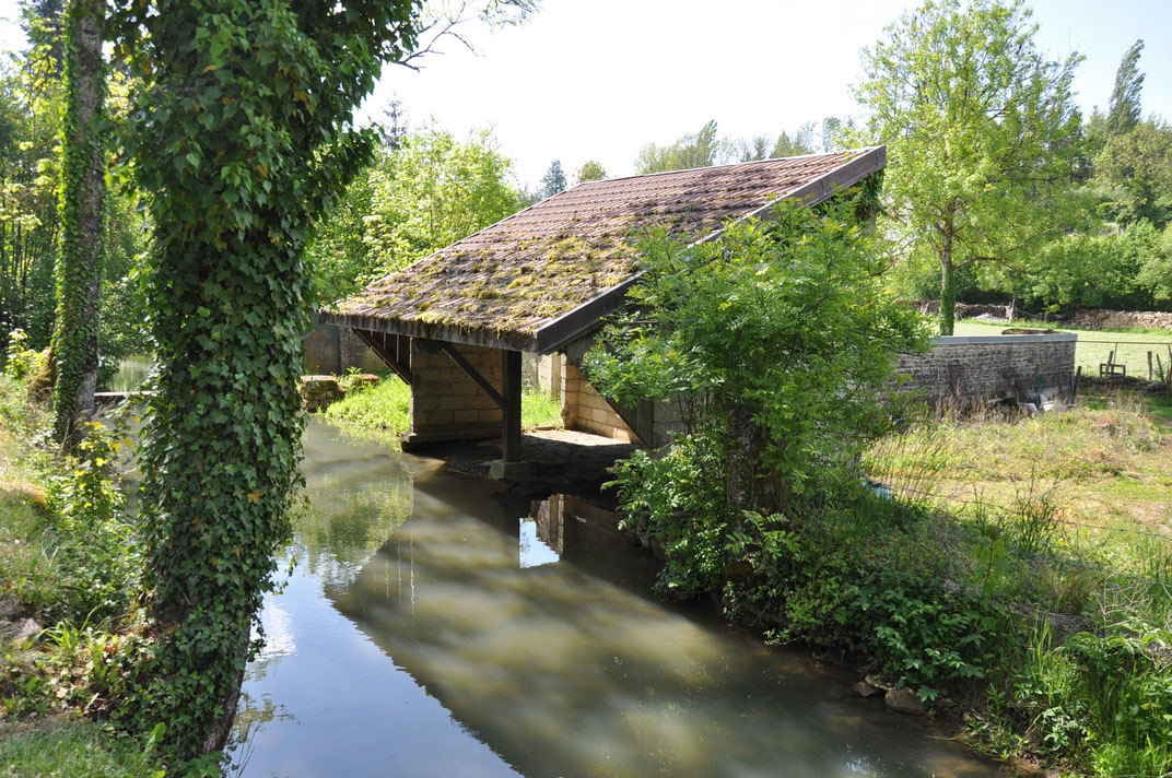 Tille Venelle : vue sur la rivière