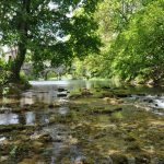 Tille Venelle : vue sur la rivière