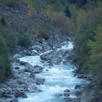 Vue du torrent Vénéon