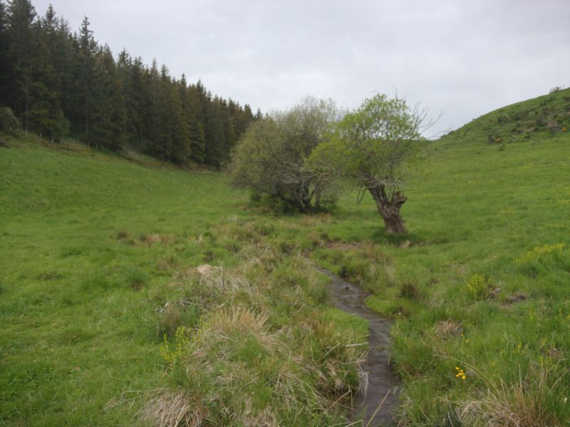 Photo de la rivière Narse