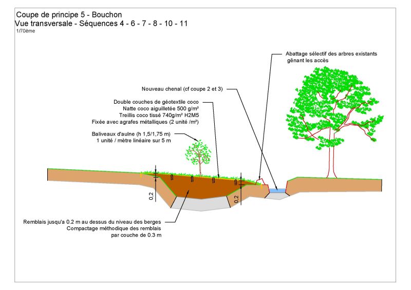 Coupe autocad d'un bouchon pour le reméandrage de la rivière Veyre en Auvergne